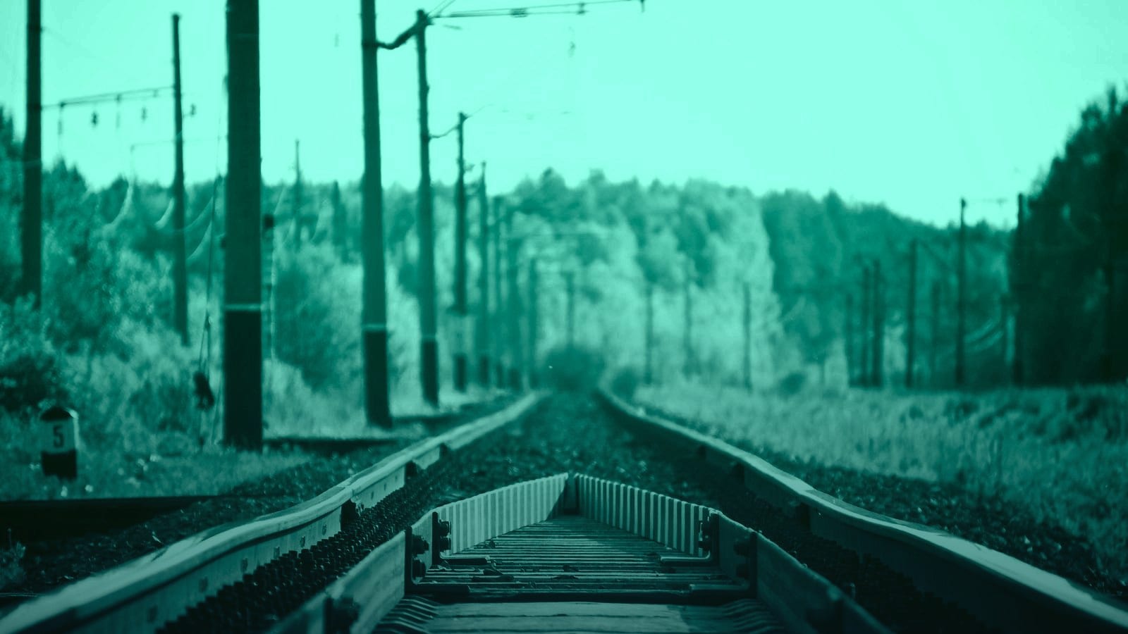 Letting go: forgiving yourself first